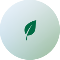 avipalp